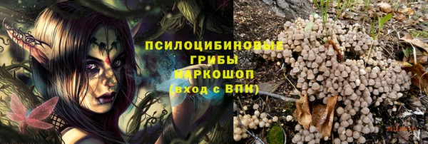 спиды Абаза