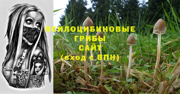 COCAINE Алексеевка
