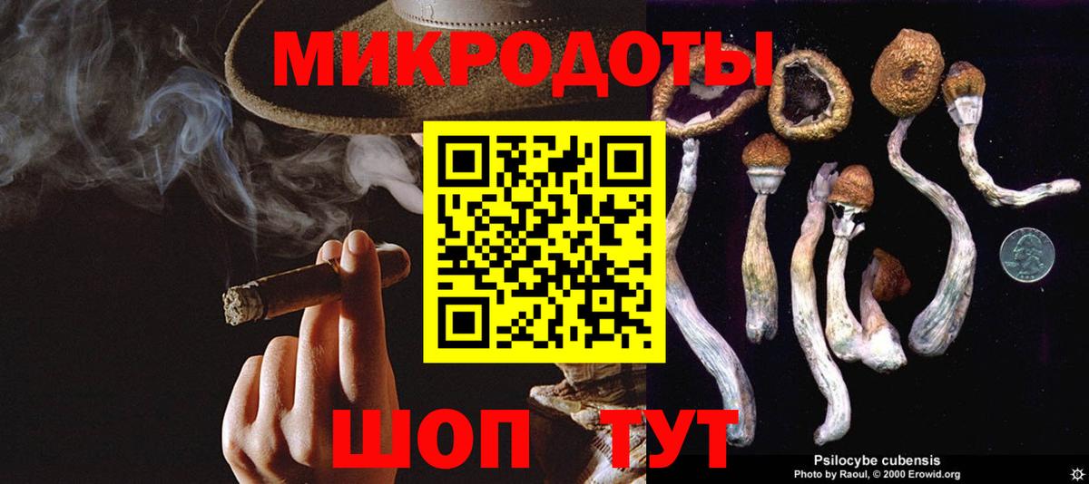 Псилоцибиновые грибы ЛСД Новокубанск