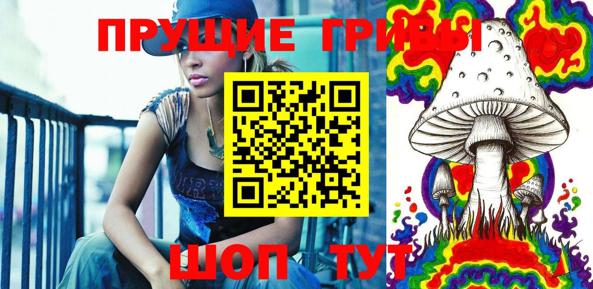 Псилоцибиновые грибы ЛСД  Вход с VPN  Псилоцибиновые грибы мицелий  Новокубанск 