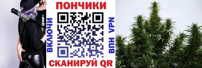 Каннабис конопля Новокубанск